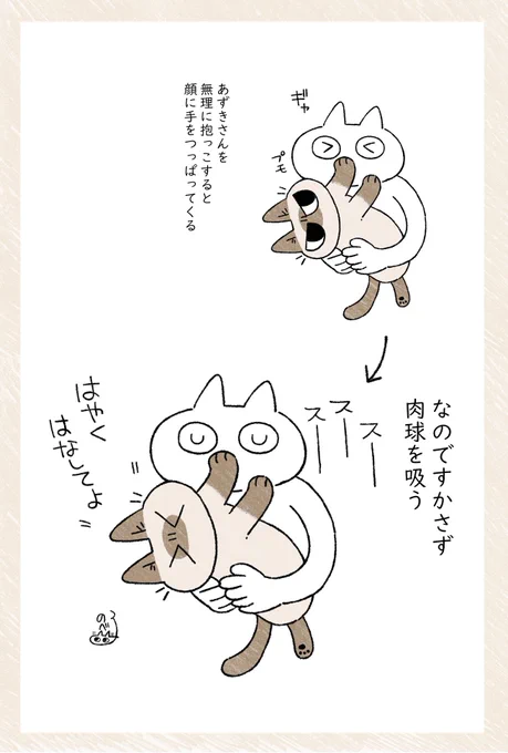 肉球の嗅ぎかた　#ねこ日記 