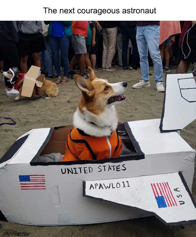 justviralnet's tweet photo. 48 Times Internet Has Shared The Best Animal Pictures That Are Absolutely Hilarious - https://t.co/zki4wYPHTR https://t.co/ctN64HAZfr https://t.co/QqX9WZsNfd