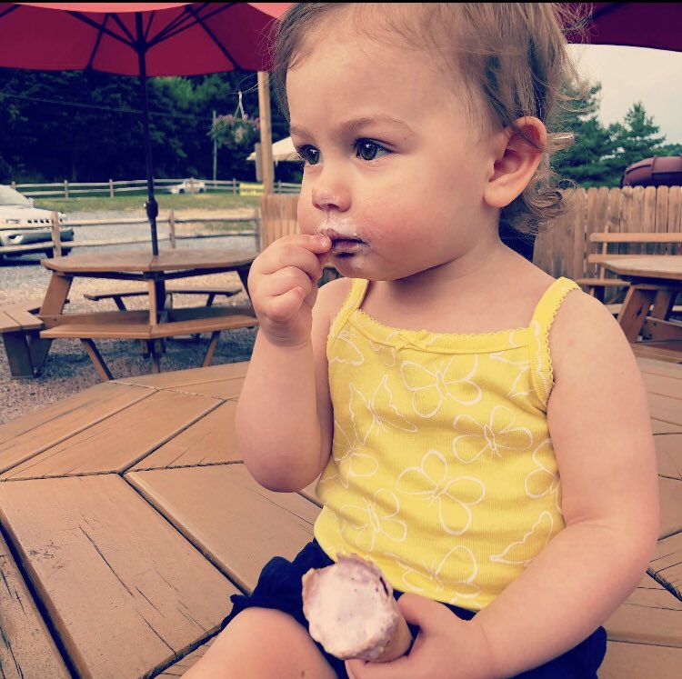 Ice cream is very serious business