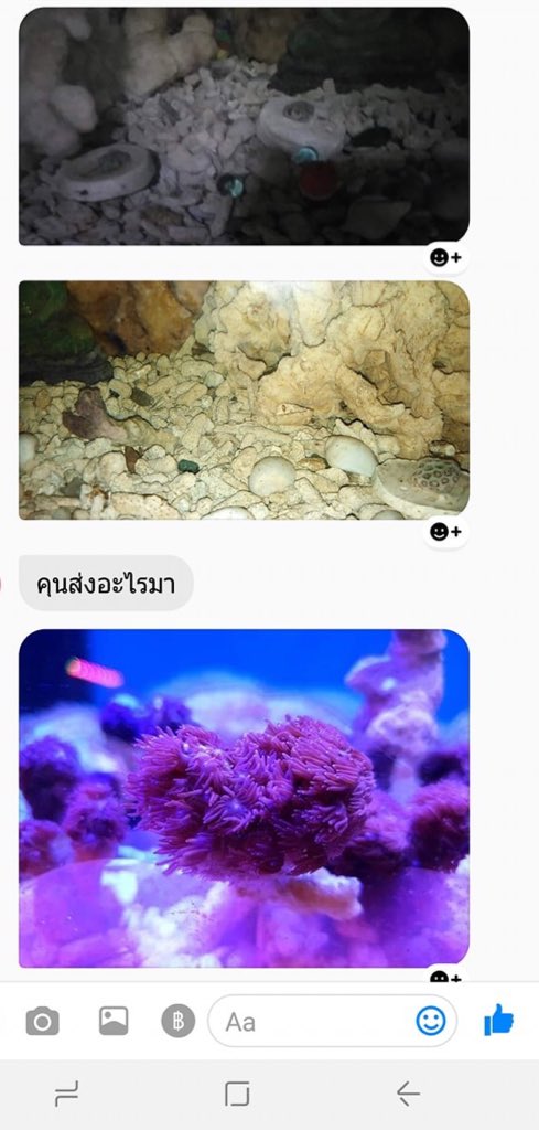 •เจ๊หวีทีมเขยอโศก• tweet media
