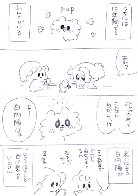 うちのおばあワン 