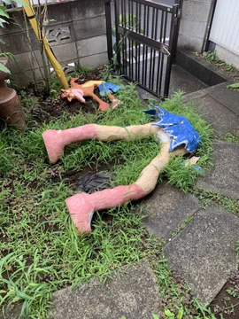 画像 / Picture