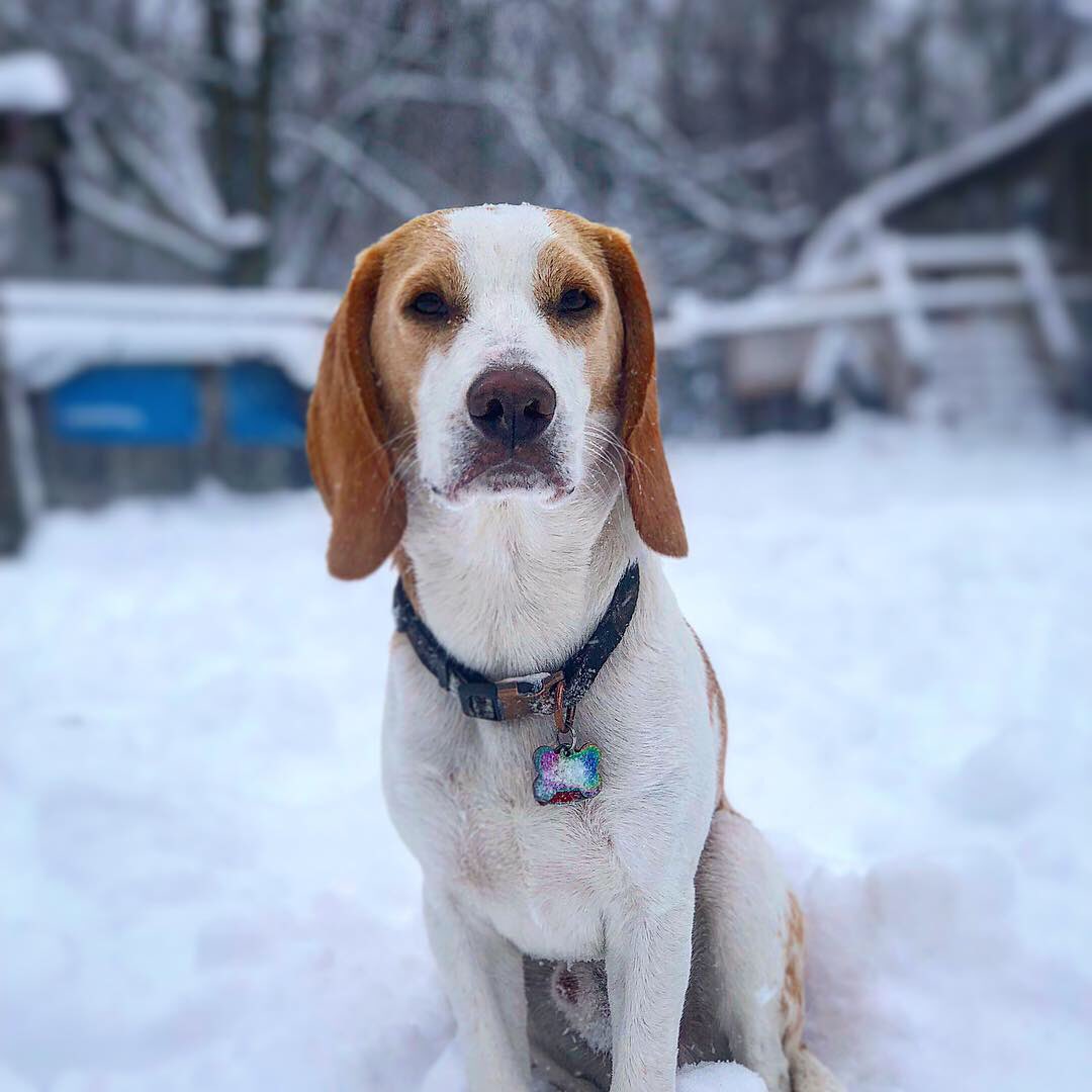 3BeauJohnson's tweet image. The best happiest boy in the world