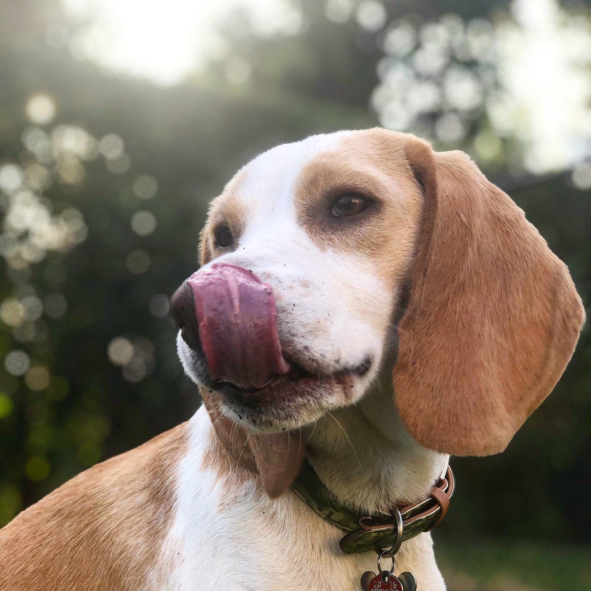 3BeauJohnson's tweet image. The best happiest boy in the world