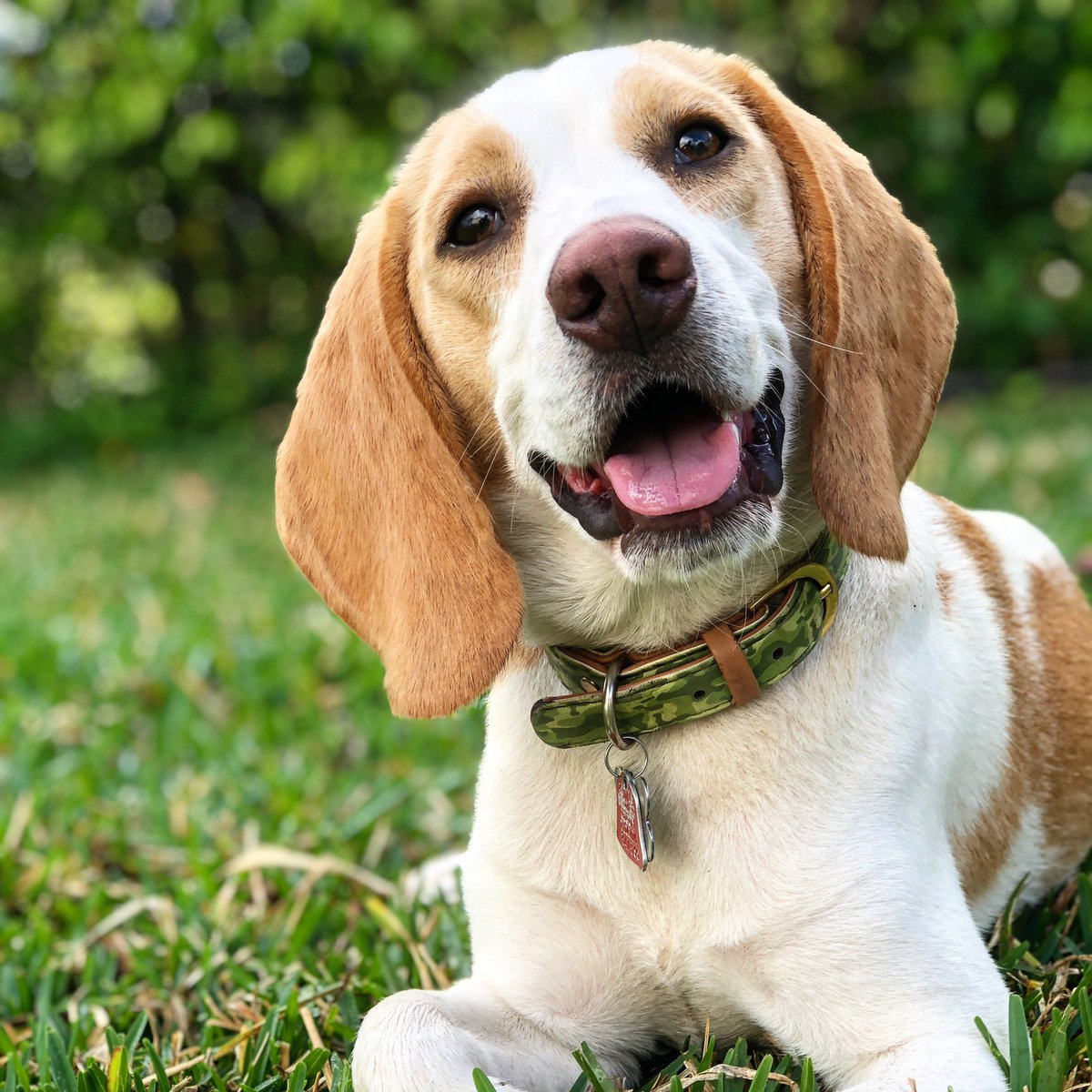 3BeauJohnson's tweet image. The best happiest boy in the world