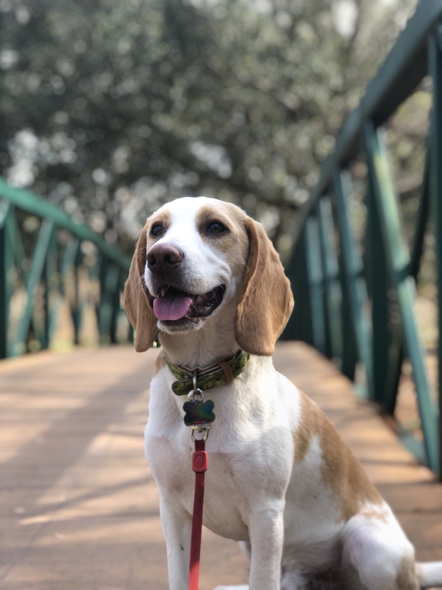 3BeauJohnson's tweet image. The best happiest boy in the world