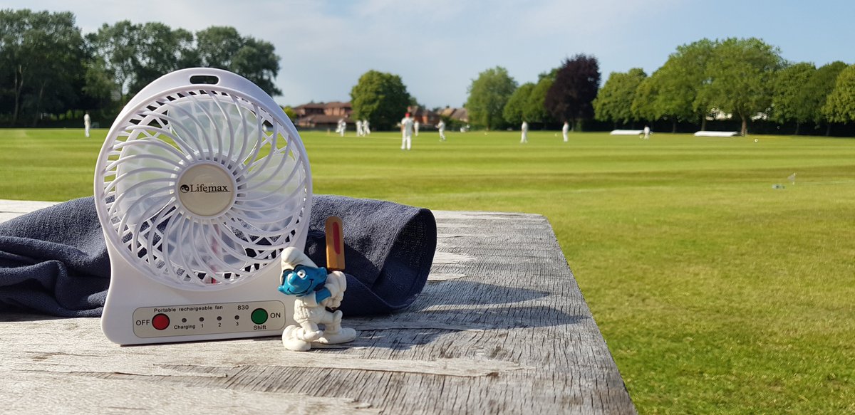 CricketingSmurf's tweet photo. Well I managed to stay cool today in #Stratforduponavon. A little snap with one of my fans. It was #FISSC v @WinchcombeCC today in the @CHL_Cricket league - squash was the order of the day. How did you stay cool? #smurfs #lovecricket #cricket @cricketfocus1 @cricket_world. https://t.co/ZsAnliNvQt