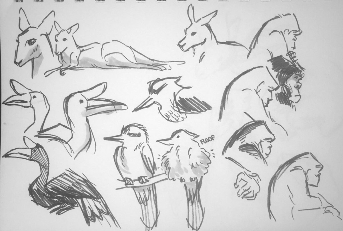 Sketches from my zoo trip today - it did wonders for my mood <3 