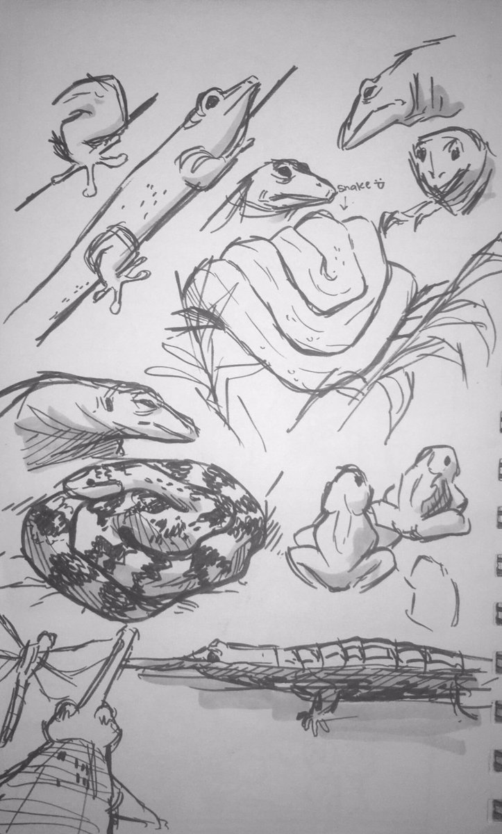 Sketches from my zoo trip today - it did wonders for my mood <3 