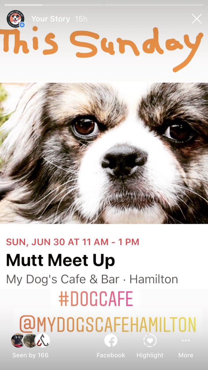 MyDogsCafe's tweet photo. Mutt Meet Up from 11 am - 1 pm at our #LockeStreet #dogcafe on Sunday Funday!   We are open Sunday &amp; Canada Day Monday 11-4 pm.  #coolinside #dogfriendlycafe #muttmeetup #mydogscafe #HamOnt #lockestshops https://t.co/JMJA15ieDf