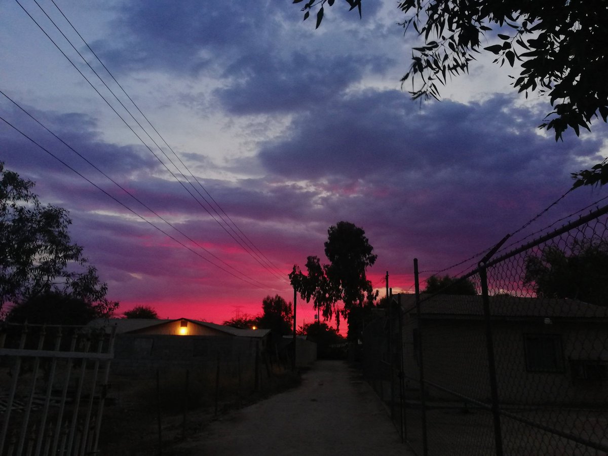 StephanyQuies's tweet photo. Neon sky π π
#nofilter #noedit #photographers #photography #photographerslovers #garden #flowers #jwcreation #jw #creation #colorful #colors #like4like #follow4followbacks #followme #follow4likes #follow #followers https://t.co/LFIyJ12BAI