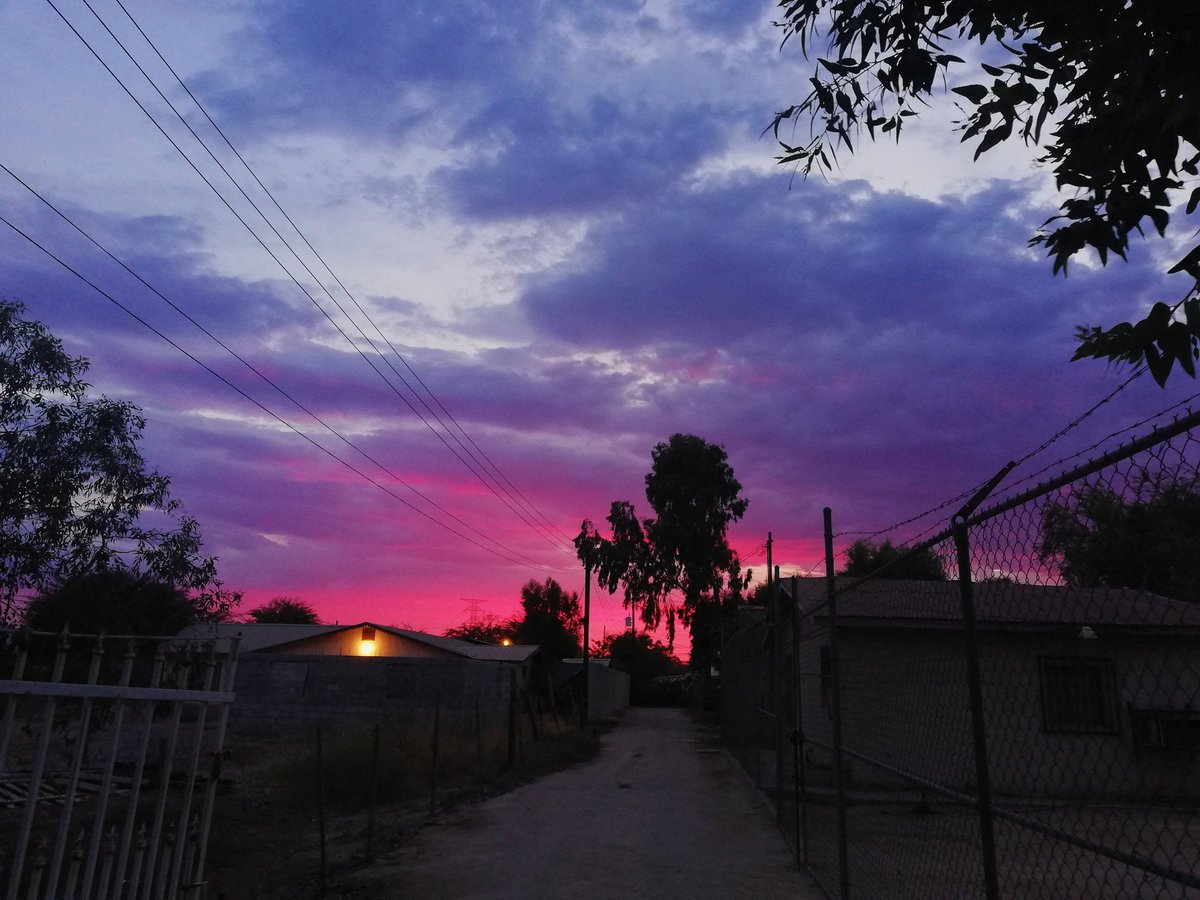 StephanyQuies's tweet photo. Neon sky π π
#nofilter #noedit #photographers #photography #photographerslovers #garden #flowers #jwcreation #jw #creation #colorful #colors #like4like #follow4followbacks #followme #follow4likes #follow #followers https://t.co/LFIyJ12BAI