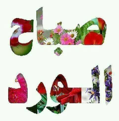 لو كان للصباح لسان لألقى عليك التحية قائلا:  صباح الخير %ياخير الصباح