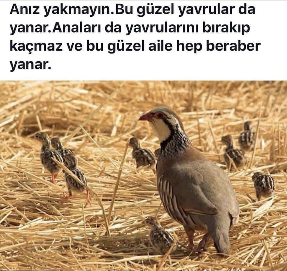 Çok ama çok önemli bir konu.