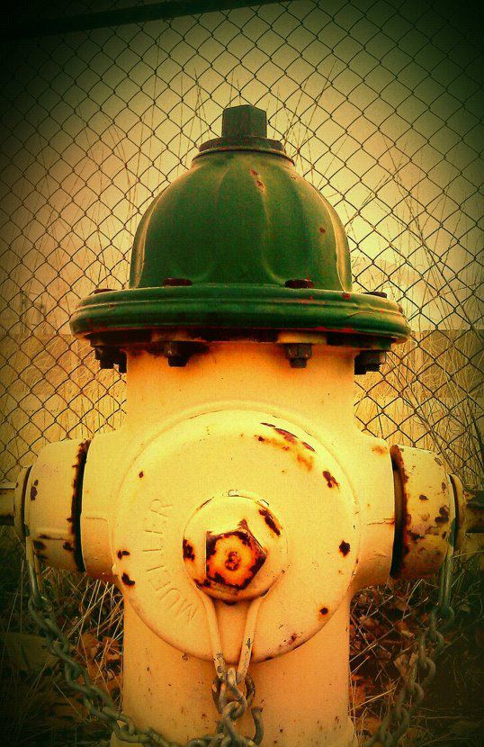 Meet my Little Friend!  <a href="/SLmag/">Salt Lake magazine</a> <a href="/CityWeekly/">Salt Lake City Weekly</a> <a href="/SLCPL/">The City Library</a> <a href="/HogleZoo/">Utah's Hogle Zoo</a> <a href="/UtahAnimals/">Utah Animals</a> Seems to be a <a href="/SLCDogTraining/">Sit Means Sit - Salt Lake City.</a> Dogs best friend!  @buddhapie Loves YOU!