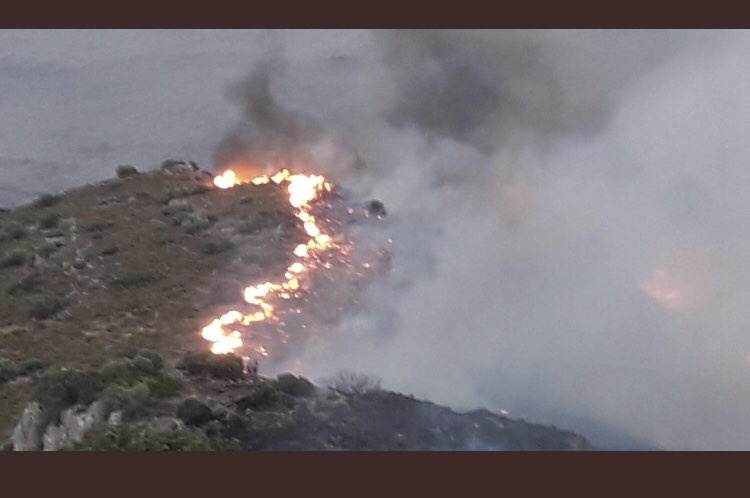 haluklevent's tweet photo. Datça’da 6 hektar alan kül oldu.
İlk gelen bilgiler sabotaj ihtimali yönünde.
Ne olursa olsun izin vermeyeceğiz!
Hemen çalışmalara başlayacağız!
Orman Bakanlığına gideceğiz izinler isteyeceğiz.
Ve onbinlerce Ahbap ile fidanlar dikeceğiz.
Artık yak ve ardından otel yap yok! https://t.co/8hCbZrpyRR