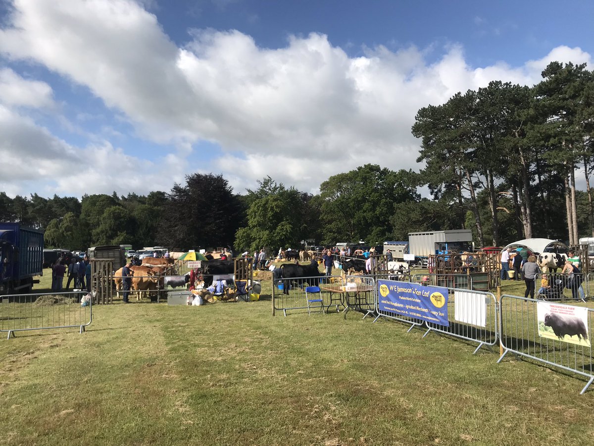 Malton Show tweet media