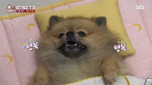 엌ㅋㅋ 동삼님ㅋㅋㅋ짤이 그새 느셨엌ㅋㅋㅋ 좋아해주셔서 감삼다ㅋㅋㅋㅋㅋ원작과는 이미 많이 멀어졌지만 제인에어 재밋으니 책도 보시고...