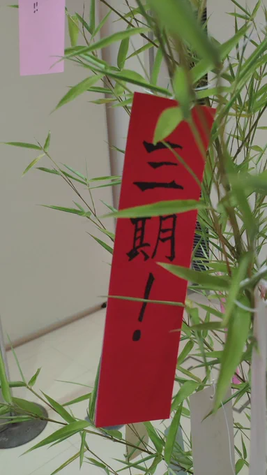 七夕ラプソディ 