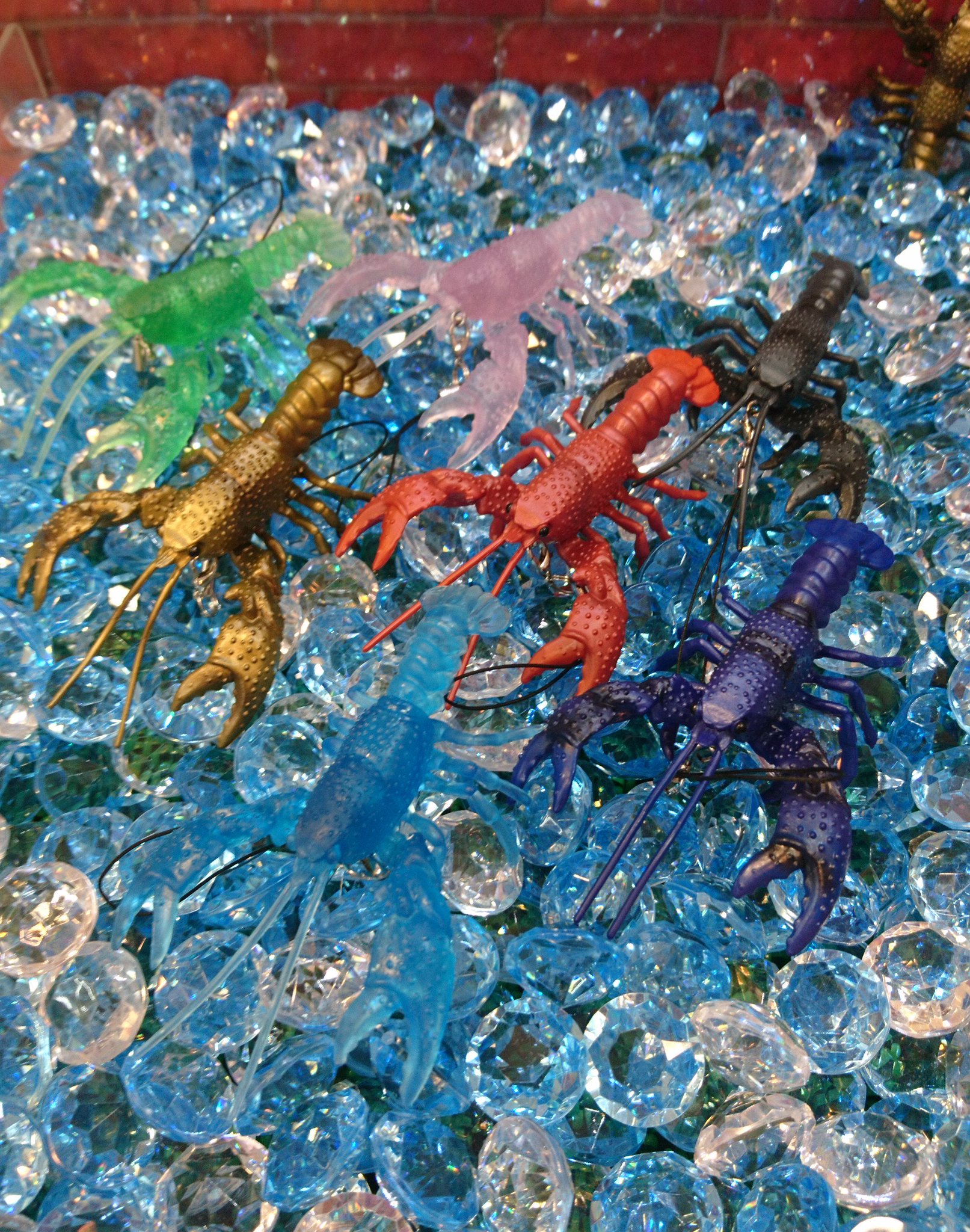 生物図鑑キッズシリーズ リアルザリガニ 店舗
