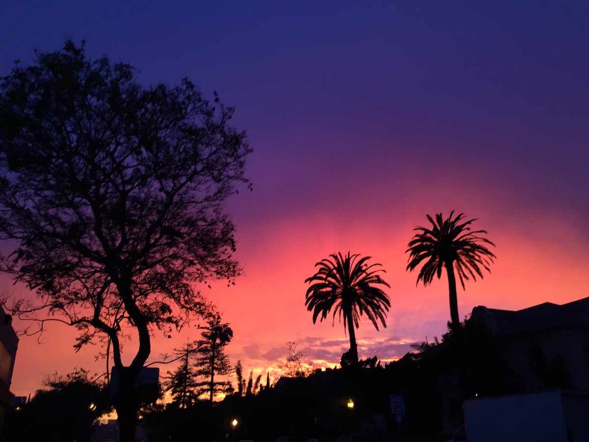 ezequiel_ramirz's tweet photo. así que bonita tarde o noche 🙃

#cielohermoso #clouds #skyline #buenasvibras✌ #bluesky #purpleday #sky #blue #life #cielo #newwallpaper #newphotos #hermoso #feliz #relax #beautifulskys #skybeautiful #underthepalms #palm #cielo #vive #love https://t.co/tuJubwth7l