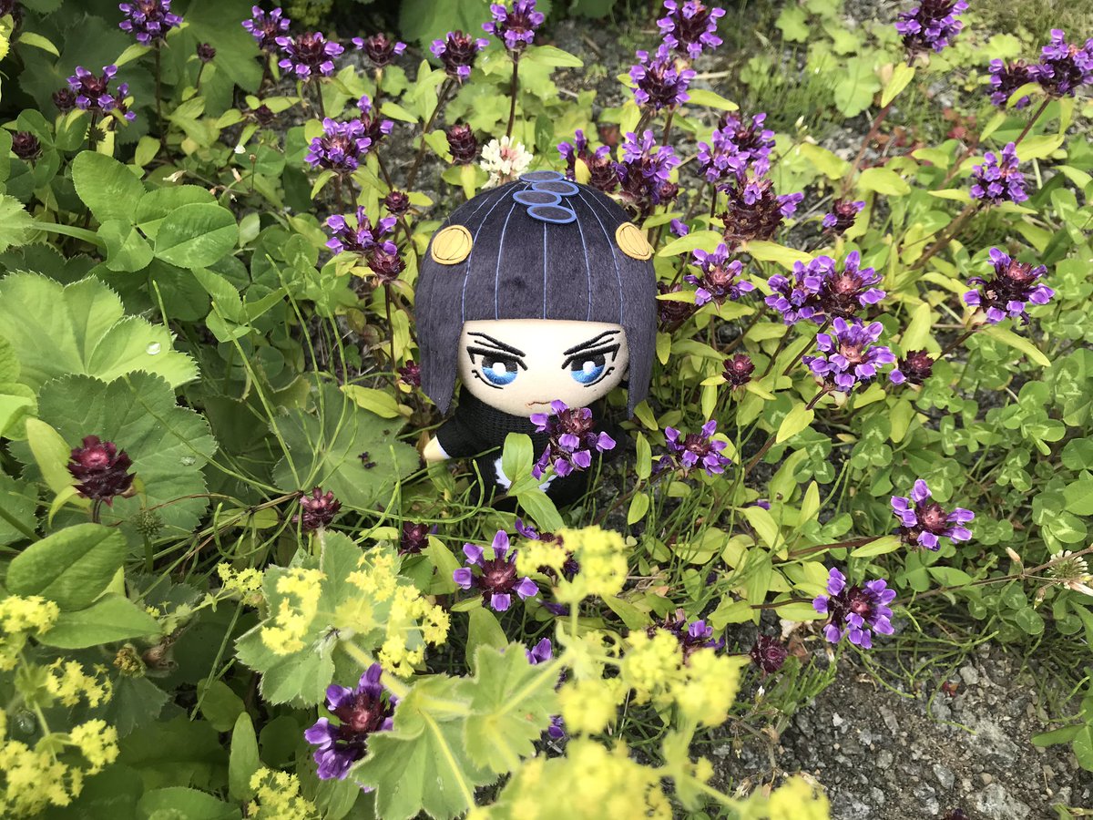 KyonGlossa's tweet photo. https://t.co/BixqOI0Qda