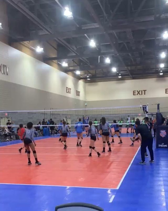 Dig This! VBC tweet media