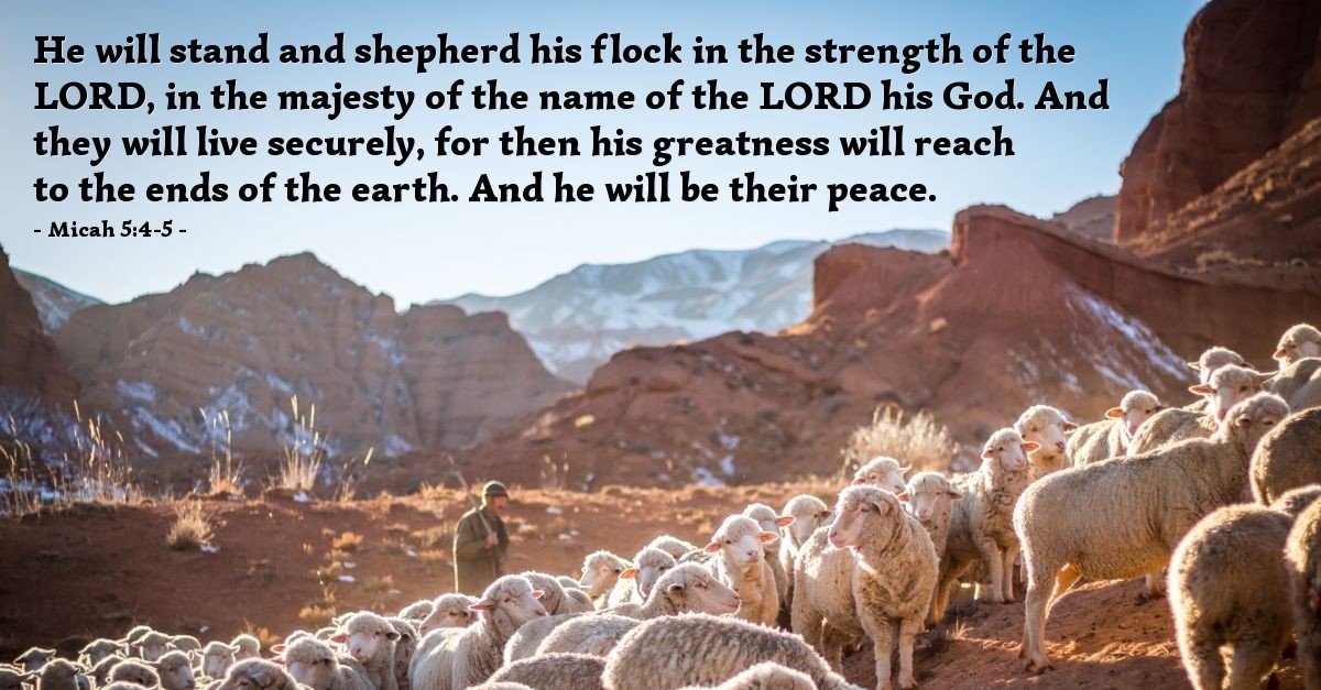 Laura Turner tweet media