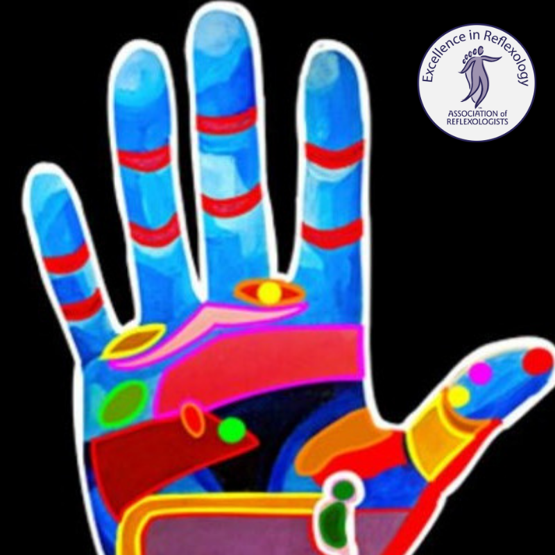 Interactive Reflexology Hand Chart