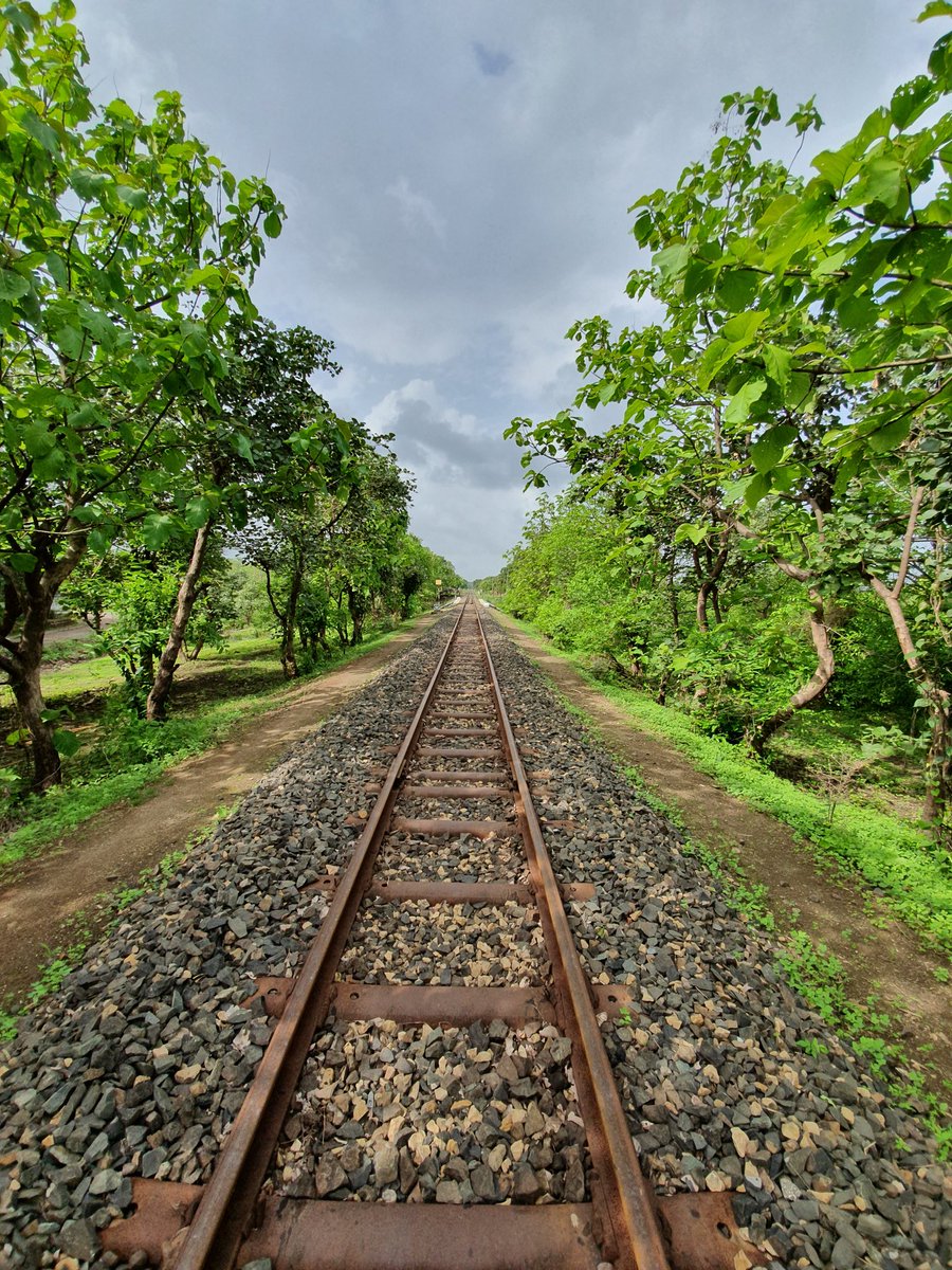 Chiragkapuriya's tweet image. #ShotOnGalaxyS10plus #Nofilter #ZeroEdit #Gir