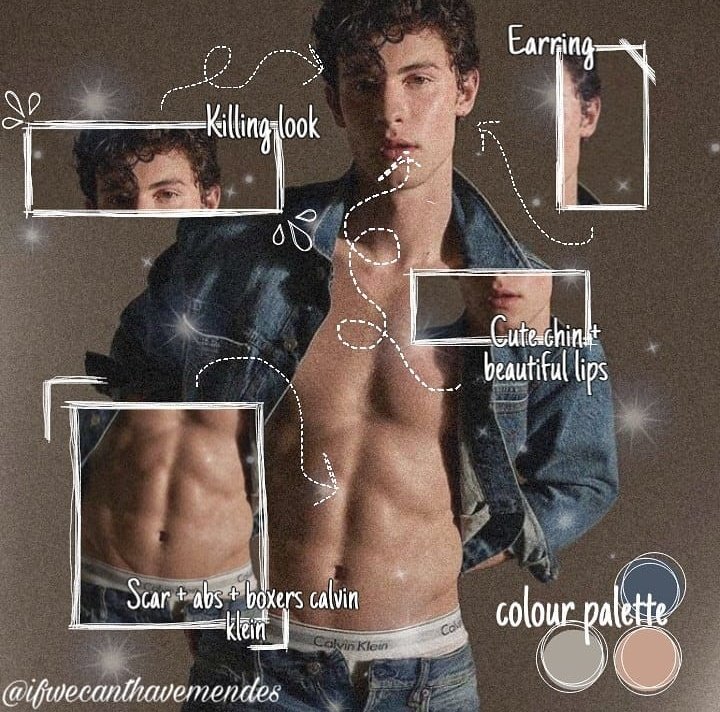 Lisa Loves Shawn Mendes Ifwecanthavesm Twitter