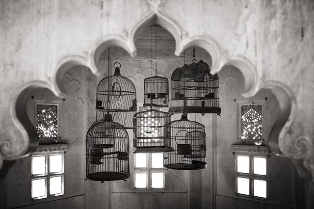 Birdcages at the City Palace in #udaipur, #rajasthan⁠
⁠
⁠
⁠
⁠
⁠
#travel #amongthewild #exploretocreate #travelphotography #chasinglight #beautifuldestinations #wanderlust #igtravel #passportready #travelblog #ilovetravel #travelgram #fujifilmxser… ift.tt/2XkescP