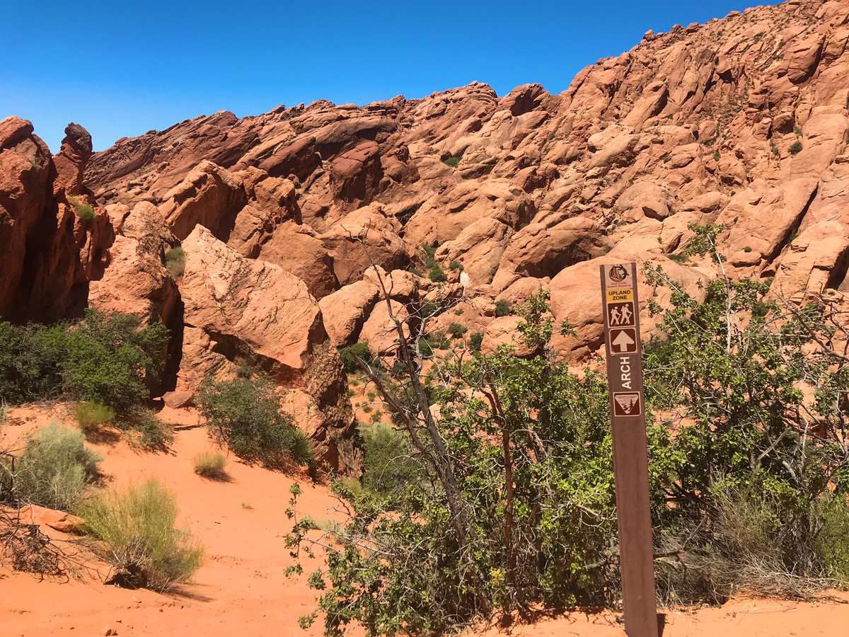 TiffanyMessick3's tweet photo. Babylon arch continued https://t.co/2eQS4BYD9F