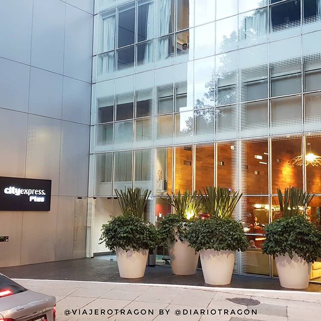 DiarioTragon's tweet photo. #Tragon hoy me toca hospedarme en el hotel #CityExpressPlus de @hotelescityexpress en la #CDMX la ubicaciòn es genial, en Paseo de la Reforma frente al Ángel de la Independencia. https://t.co/mvMo71SzIB