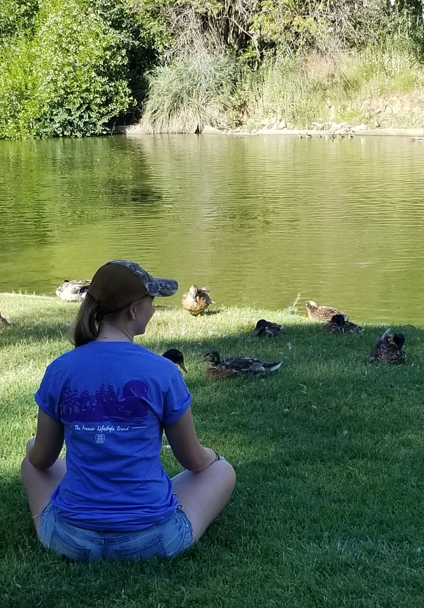 eyes_of_nature's tweet photo. So many Quack-Quacks.
.
Get 15% off of @backroadapparel using promo code DUCK15 at checkout!
#backroadsrep #BRAfaithful #backroadsapparel #backroads #outdoorlife #ducks #mallards #ducklings #quackquack #youngducks https://t.co/wtbgJFNhcp