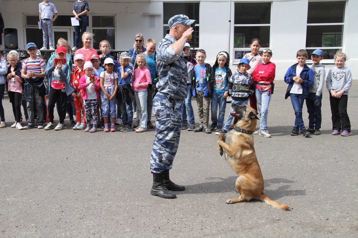 muzeypobedy's tweet image. Акцию #Фронтоваясобака провели в военно-историческом отделе Костромского музея-заповедника!  Детям из школы №7 рассказали о деятельности собак в годы #ВОВ, а сотрудники спецподразделения «Гром» и центра кинологической службы провели показательные выступления. #ТерриторияПобеды