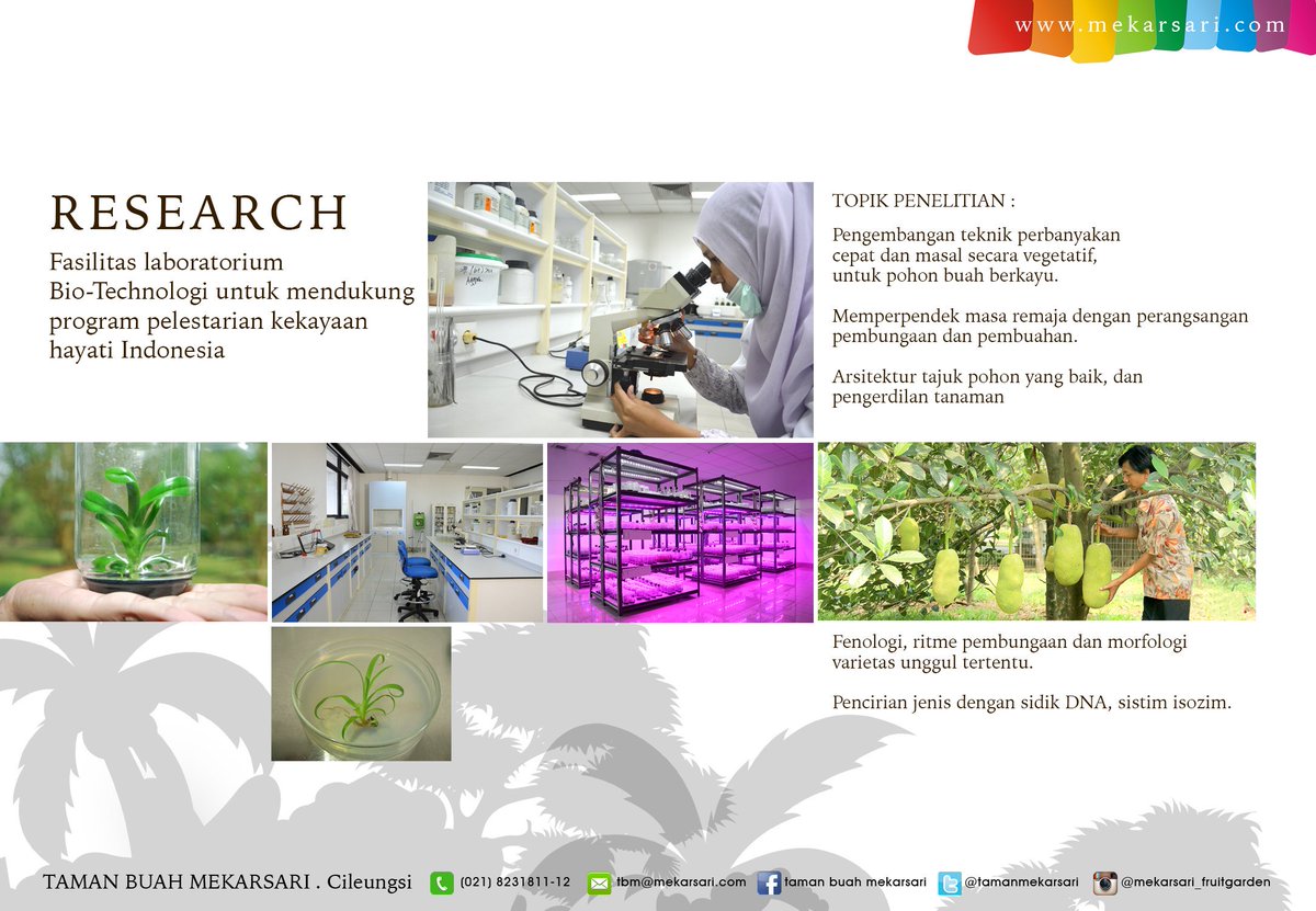 Taman Buah Mekarsari At Tamanmekarsari Twitter