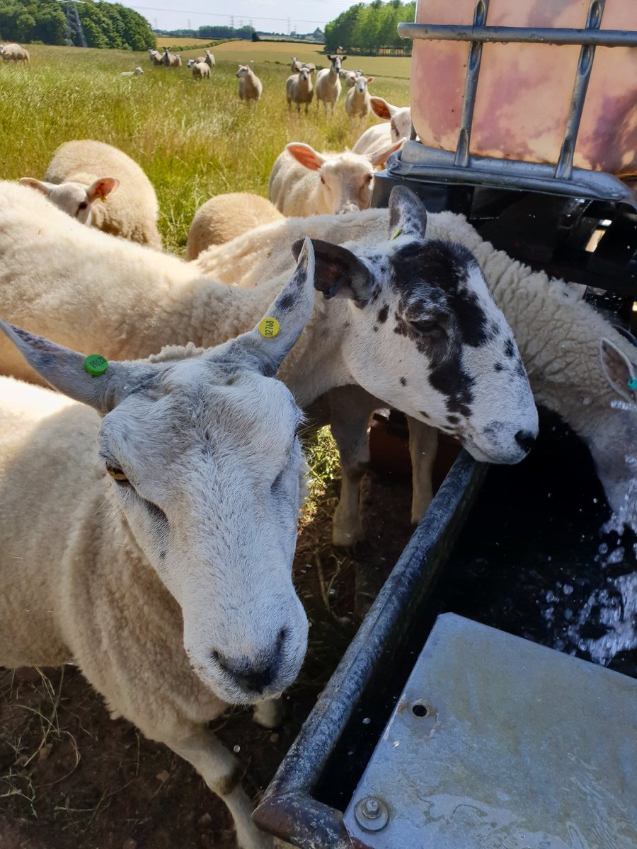 DeerServices's tweet photo. What a cracking morning @FarmersWeekly https://t.co/zf8BMwjt4u