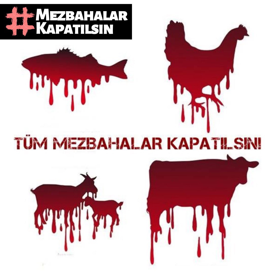 BUGÜN 18:30’DA MEZBAHALAR KAPATILSIN YÜRÜYÜŞÜ İÇİN BULUŞUYORUZ! BU GÖRSELLERİ PAYLAŞIP SESİMİZİ YANİ KATLEDİLEN MİLYARLARCA HAYVANIN ÇIĞLIĞINI DUYURMAMIZA YARDIM EDER MİSİNİZ? 

#mezbahalarkapatılsın  #vegan #hayvanözgürlüğü #animalliberation #stopabattoirs