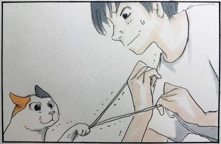 コードレスイヤホンを勧める理由！猫がいるお家ならあるあるかも？