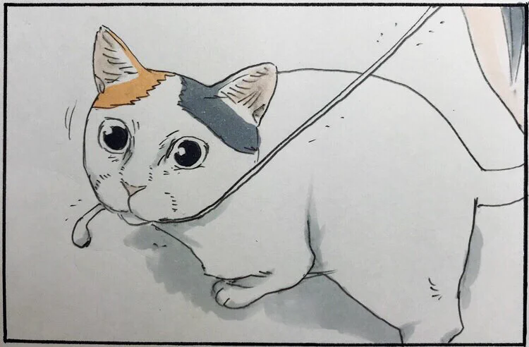 コードレスイヤホンを勧める理由！猫がいるお家ならあるあるかも？