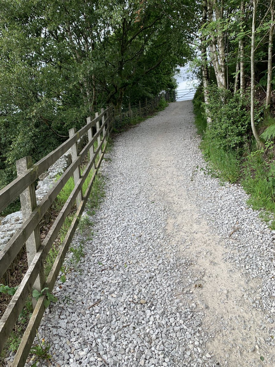 Toni0750's tweet photo. #SundayMotivation Great weather for a nice walk around #DigleyReservoir. @ActiveHudds #Holmefirth #SundayMorning @scampster50 https://t.co/LUAVgY1wiv