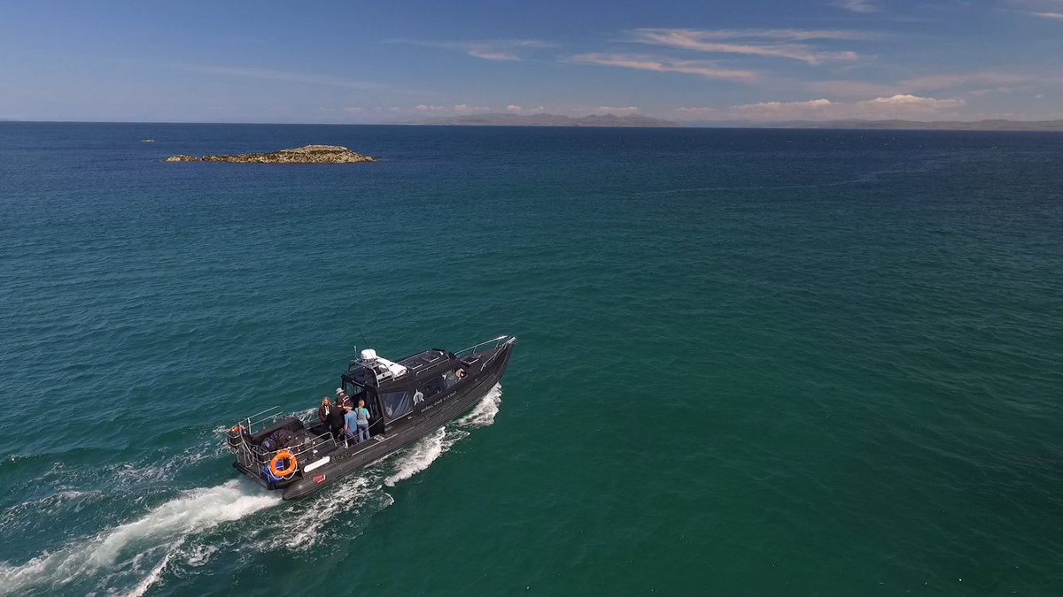 BaskingSharkSco's tweet photo. Happy birthday Cearban Mhor - a year today since we picked her up @Redbayboats - we’ve had plenty of adventures in our 12m custom built RIB and many more to come! #boat #rib #teamredbay #marinetourism #scotland https://t.co/F7a2qnbYE2