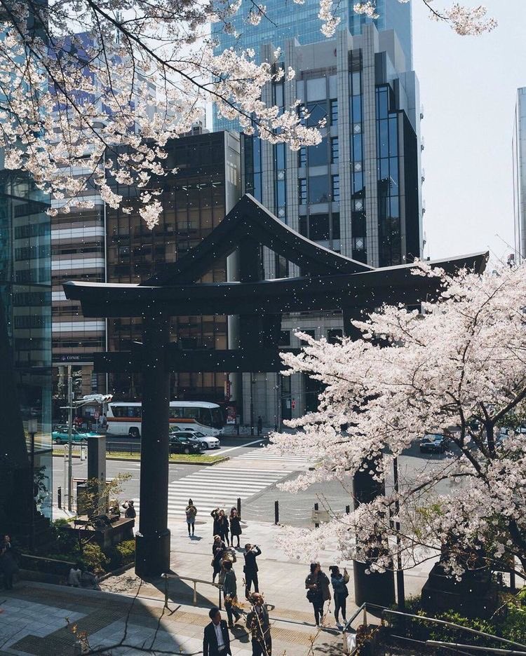 South korea on japan