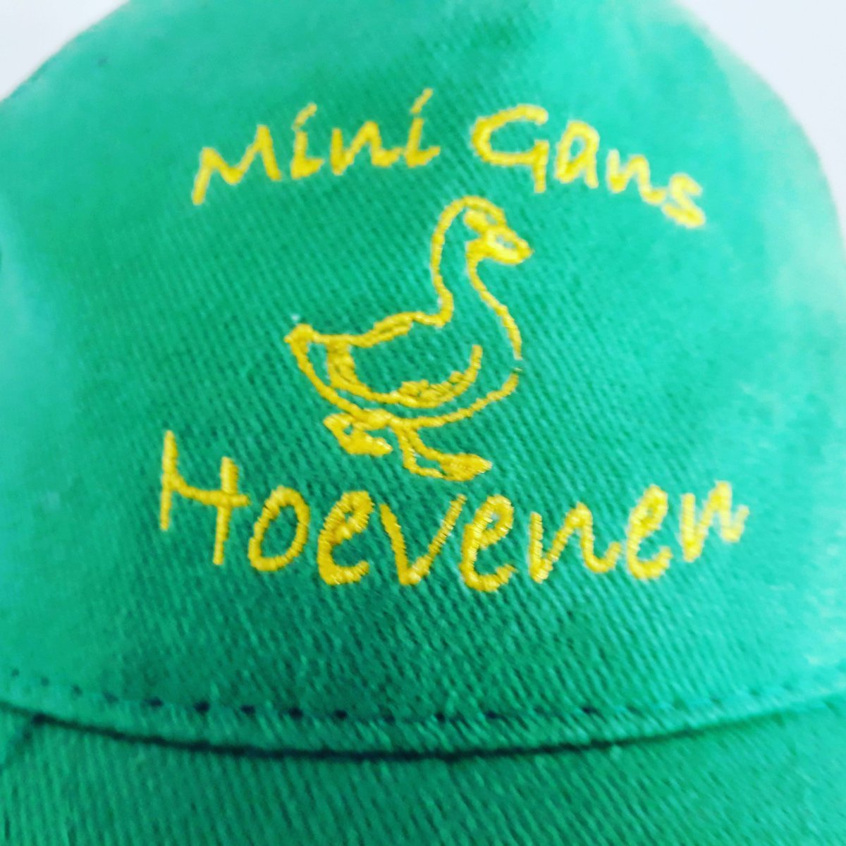 GansHoevenen's tweet image. Uitnodigingen voor #MiniGans 2019 (zondag 18 aug) zijn verstuurd via email.
Meer info zie mini-site sites.google.com/view/minigansh…