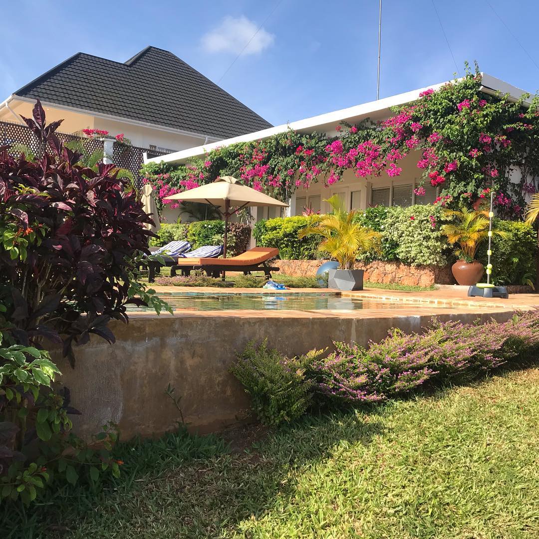 Kidoti Villas by the Z Hotel are 2 private luxury villas situated on the northern tip of the magical island of Zanzibar.

To make an enquiry head over to our website : kidotivillas.com 

📷kih.25_