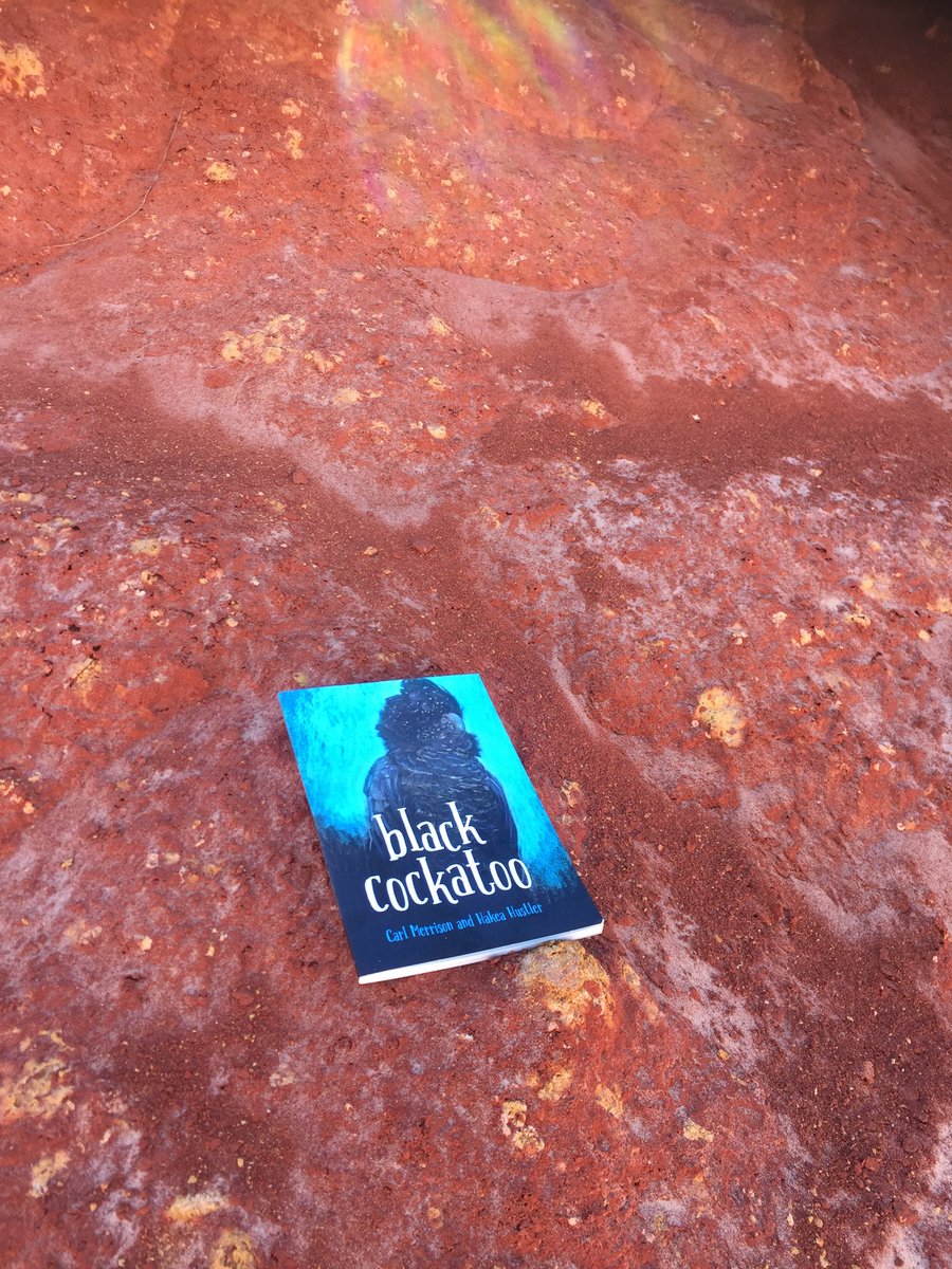 hakeaauthor's tweet image. Took the bird out today on Yawuru Country #yawurucountry #loveozya