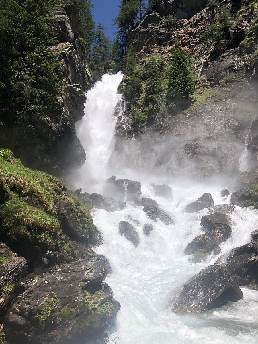 lili ✰ ツ (¬‿¬) tweet media