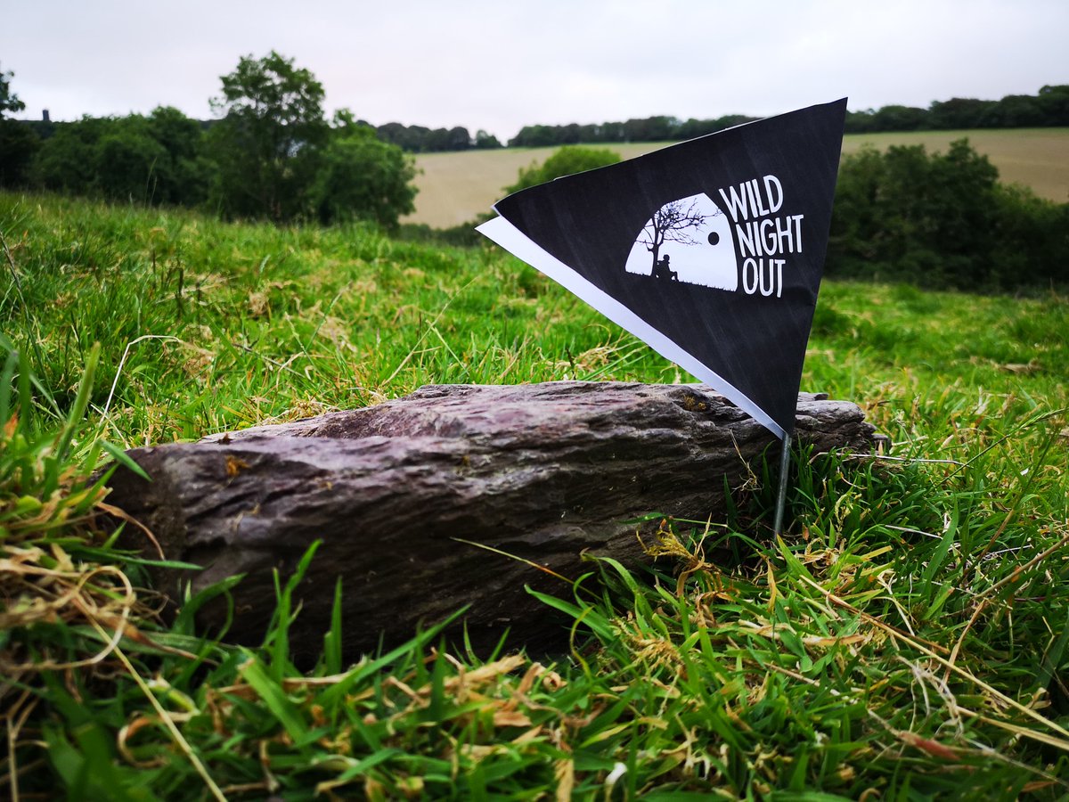 lensabstract's tweet photo. Great #WildNightOut2019 @wildnightoutuk last night https://t.co/ilnvmxbyzv