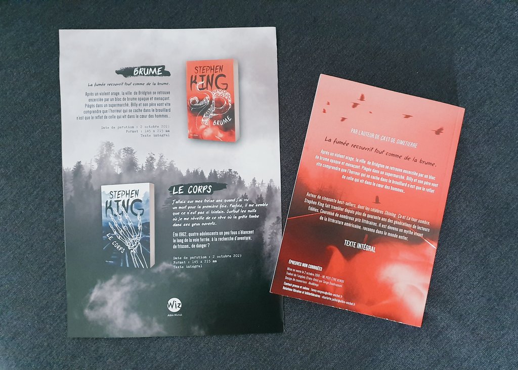 StephenKingFr's tweet photo. Merci @AlbinMichel pour cette très belle édition de #Brume 😍
××
Infos et pré-commande de #Brume et #LeCorps dans la collection jeunesse/ado d'Albin Michel 👉 https://t.co/hcVyjpbgkU https://t.co/drrkMfQkec